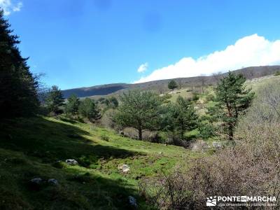 Sestil de Maillo - Cascada de Mojonavalle - Puerto de Canencia; rutas en madrid senderismo; año nue